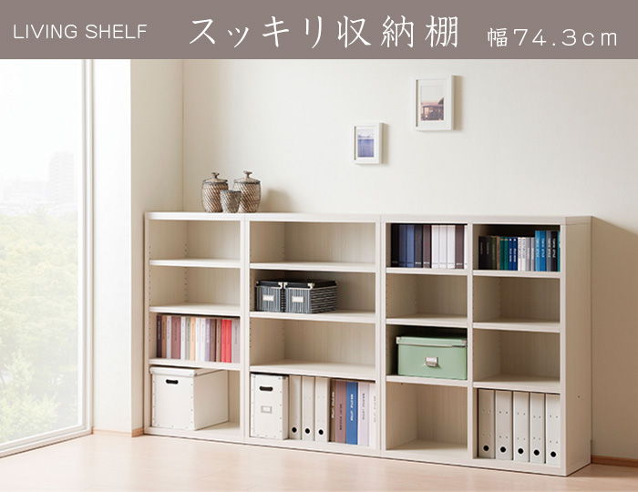 スッキリ収納 棚 シンプル 壁面収納 北欧 日本製 送料無料